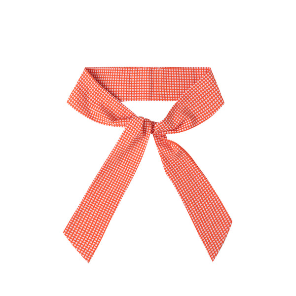 Mixy Matchy Belt Mini Check