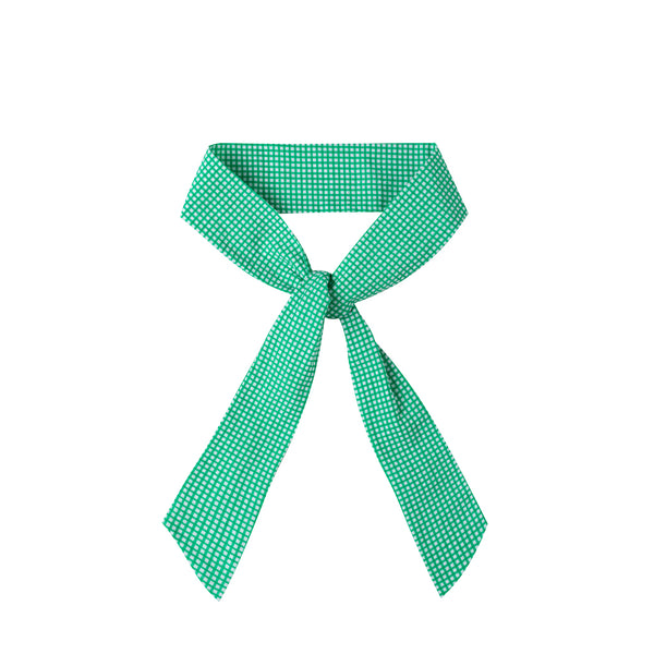 Mixy Matchy Belt Mini Check